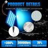 imageLivTee LED Interior Car Lights Accessories with 194 168 T10  DE3175  BA9S  64182112 578 Festoon Replacement Lighting for Cars Trucks Camper Led Interior Lights Map Trunk Dome Lights BlueIce Blue