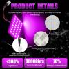 imageLivTee LED Interior Car Lights Accessories with 194 168 T10  DE3175  BA9S  64182112 578 Festoon Replacement Lighting for Cars Trucks Camper Led Interior Lights Map Trunk Dome Lights BluePurple