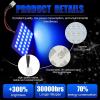 imageLivTee LED Interior Car Lights Accessories with 194 168 T10  DE3175  BA9S  64182112 578 Festoon Replacement Lighting for Cars Trucks Camper Led Interior Lights Map Trunk Dome Lights BlueBlue