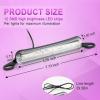 imageLivTee License Plate LED Light Extremely Bright Assembly for Trailer UTV ATV Truck RV Boat Xenon White6000KPurple