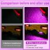 imageLivTee License Plate LED Light Extremely Bright Assembly for Trailer UTV ATV Truck RV Boat Xenon White6000KPurple