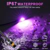imageLivTee Super Bright License Plate Light 12V License Tag Screw Bolt Accessories Waterproof Black Aluminium Light Holder Legal for Car Motorcycle Truck RV ATV Bike Xenon White2PCSPurple