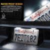 imageLivTee Waterproof 12V License Plate LED Light for RV Camper Truck SUV Trailer Van Step Courtesy Lights Dome Cargo Lights or Under Hood Lights Xenon White2PCSXenon White